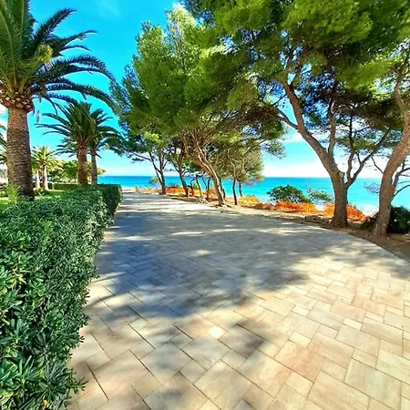 La Rosaleda Miami Playa