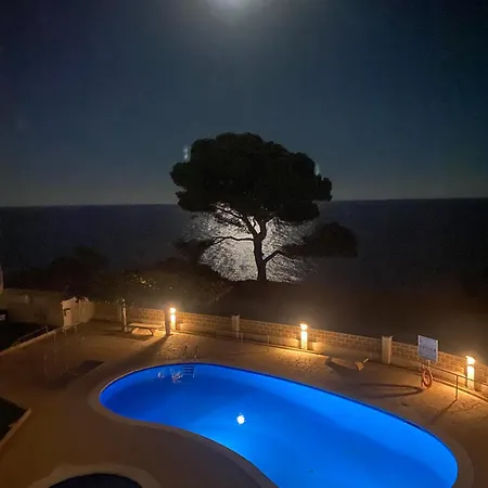 La Rosaleda Lejlighed